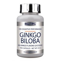 Ginkgo Biloba (100 tabs)