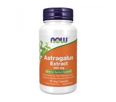 Astragalus Extract 500 mg (90 veg caps)