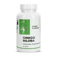 Ginkgo Biloba 120 mg (90 tabs)