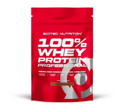 100% Whey Protein Professional (500 g)