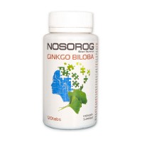 Ginkgo Biloba (120 tabs)