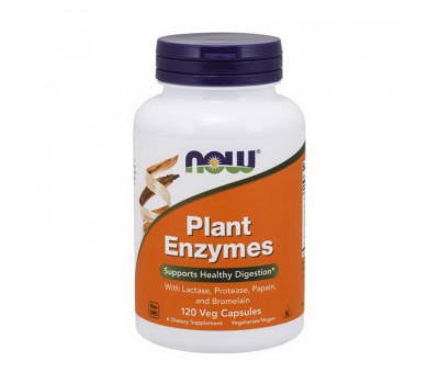 Plant Enzymes (120 veg caps)